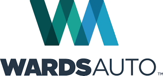 Wholesale Marketplace Designed to Move Used EVs